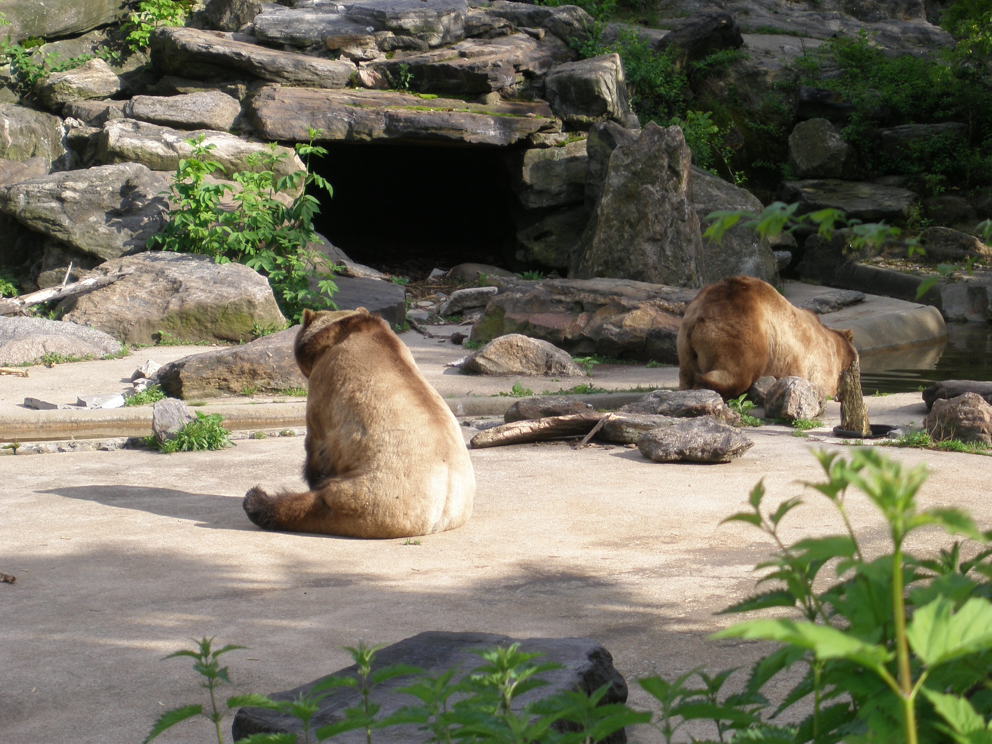 Bronx Zoo