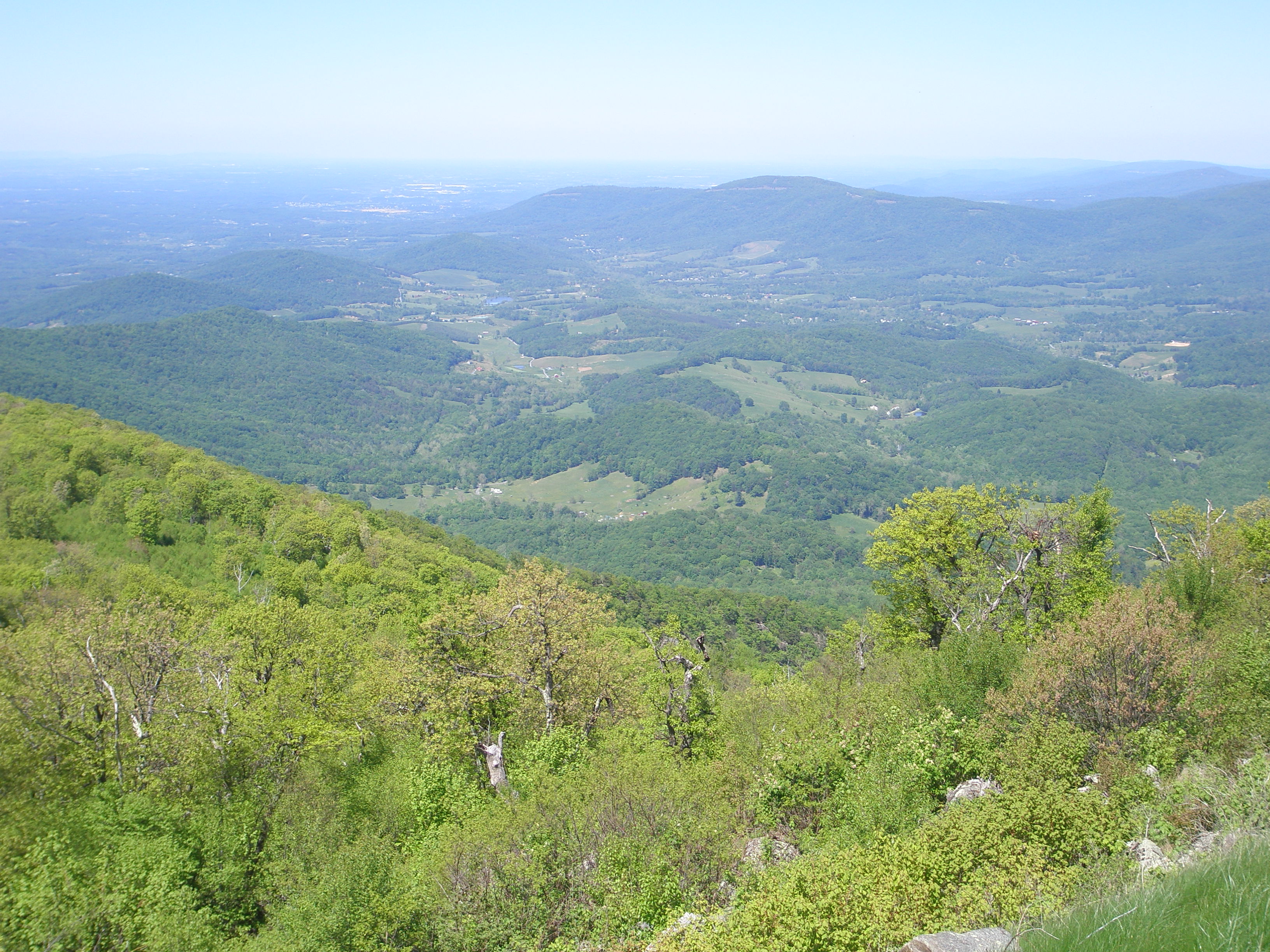 Shenandoah National Park