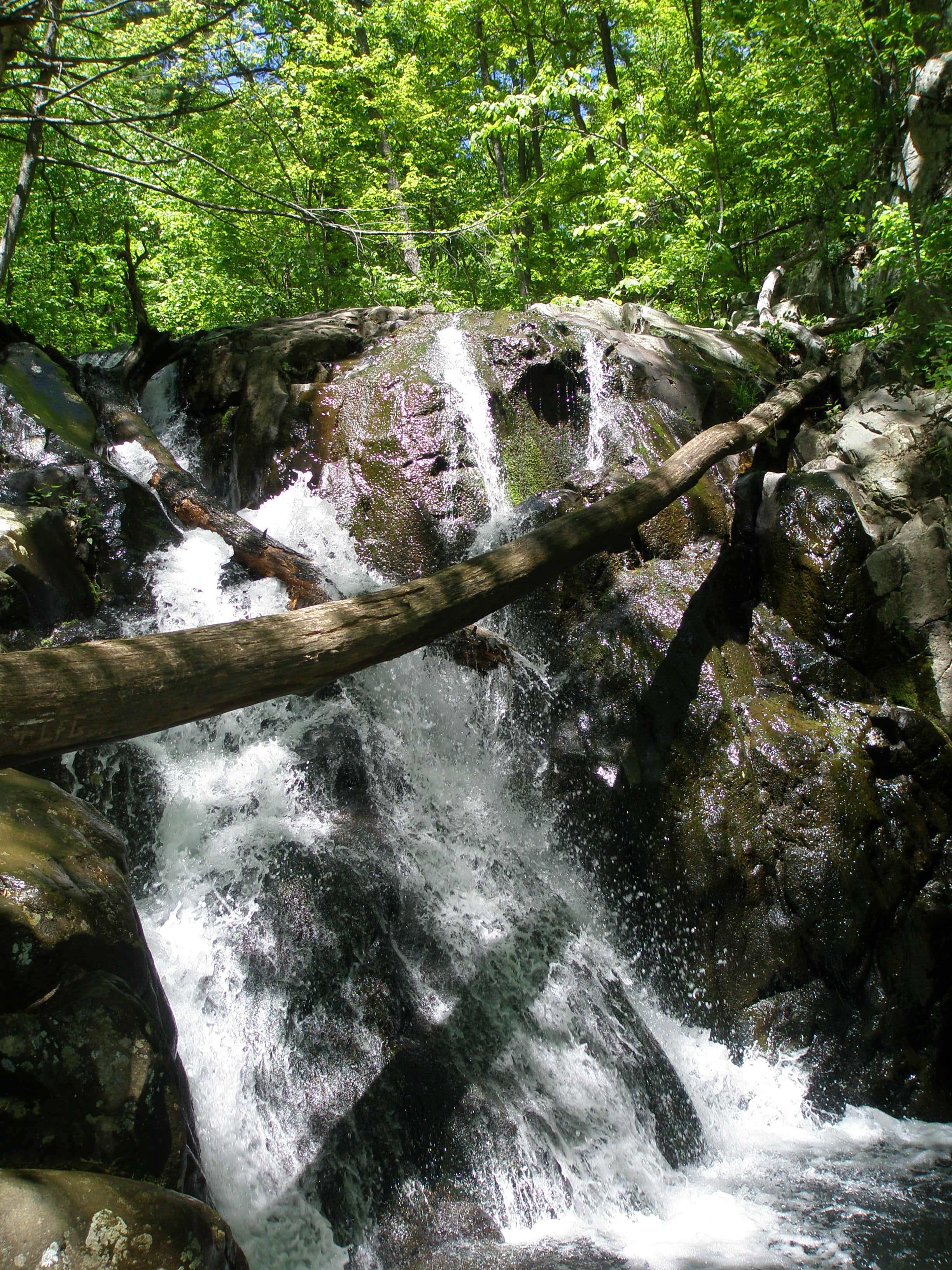 Shenandoah National Park