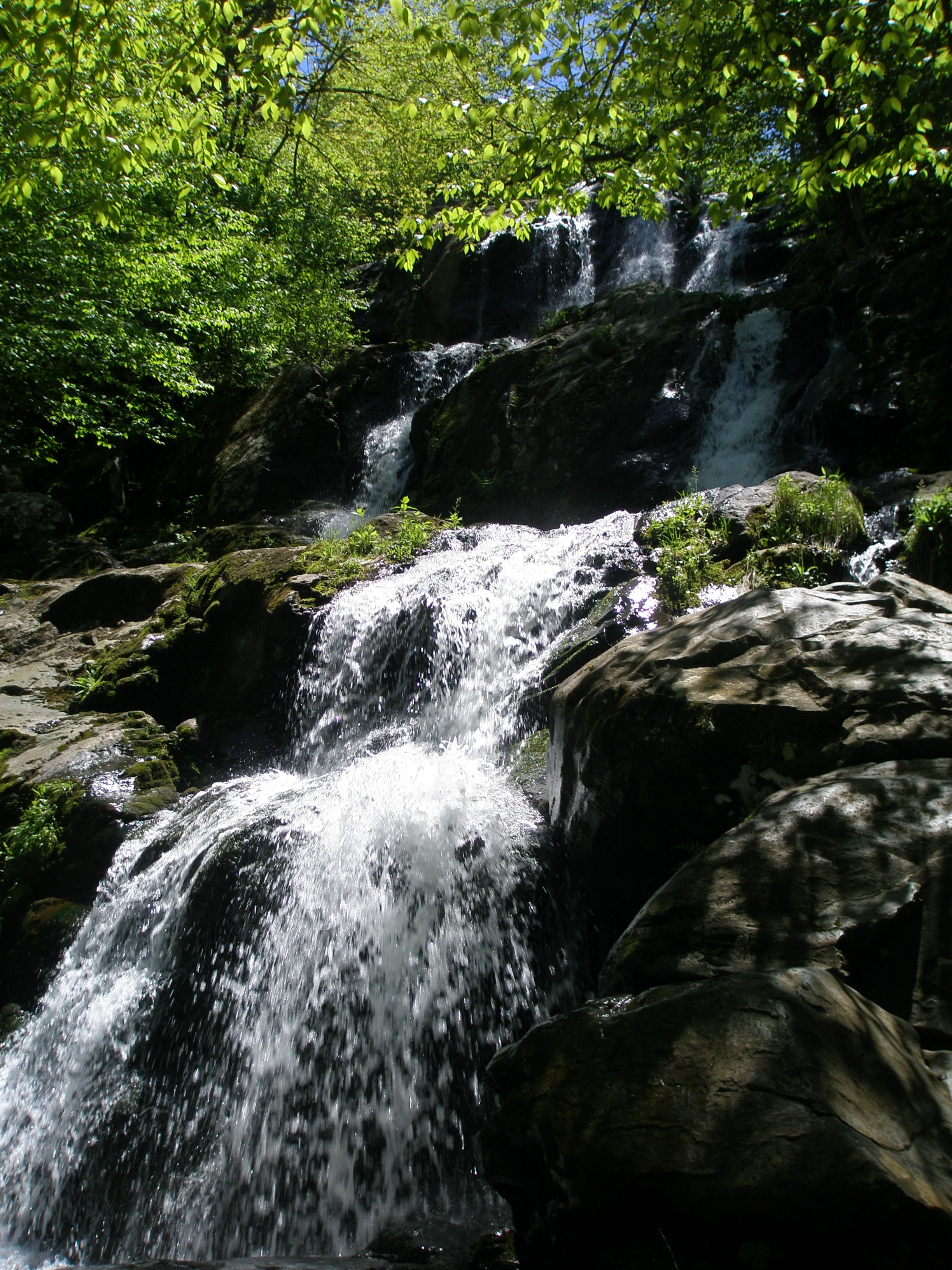 Shenandoah National Park