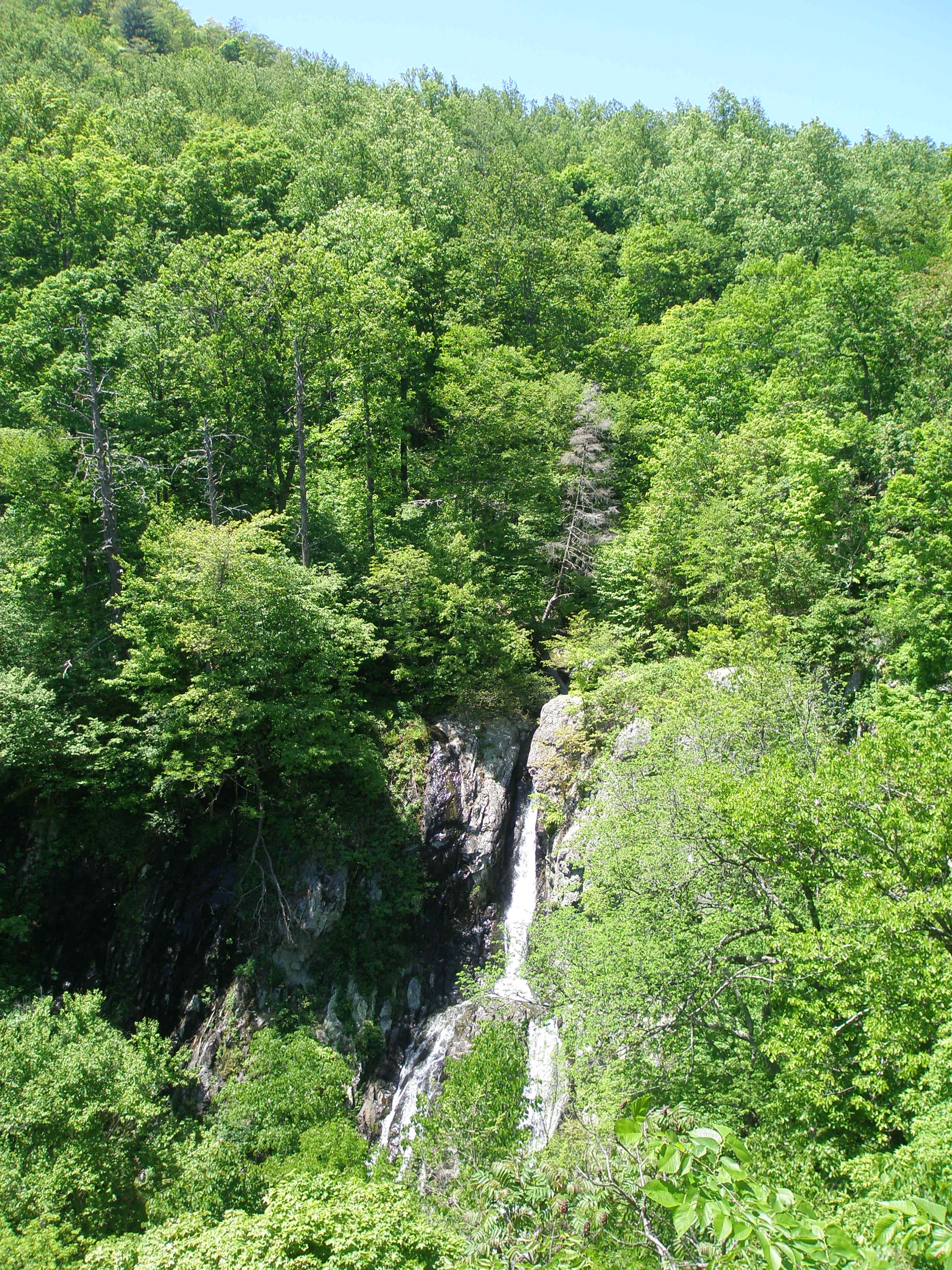 Shenandoah National Park