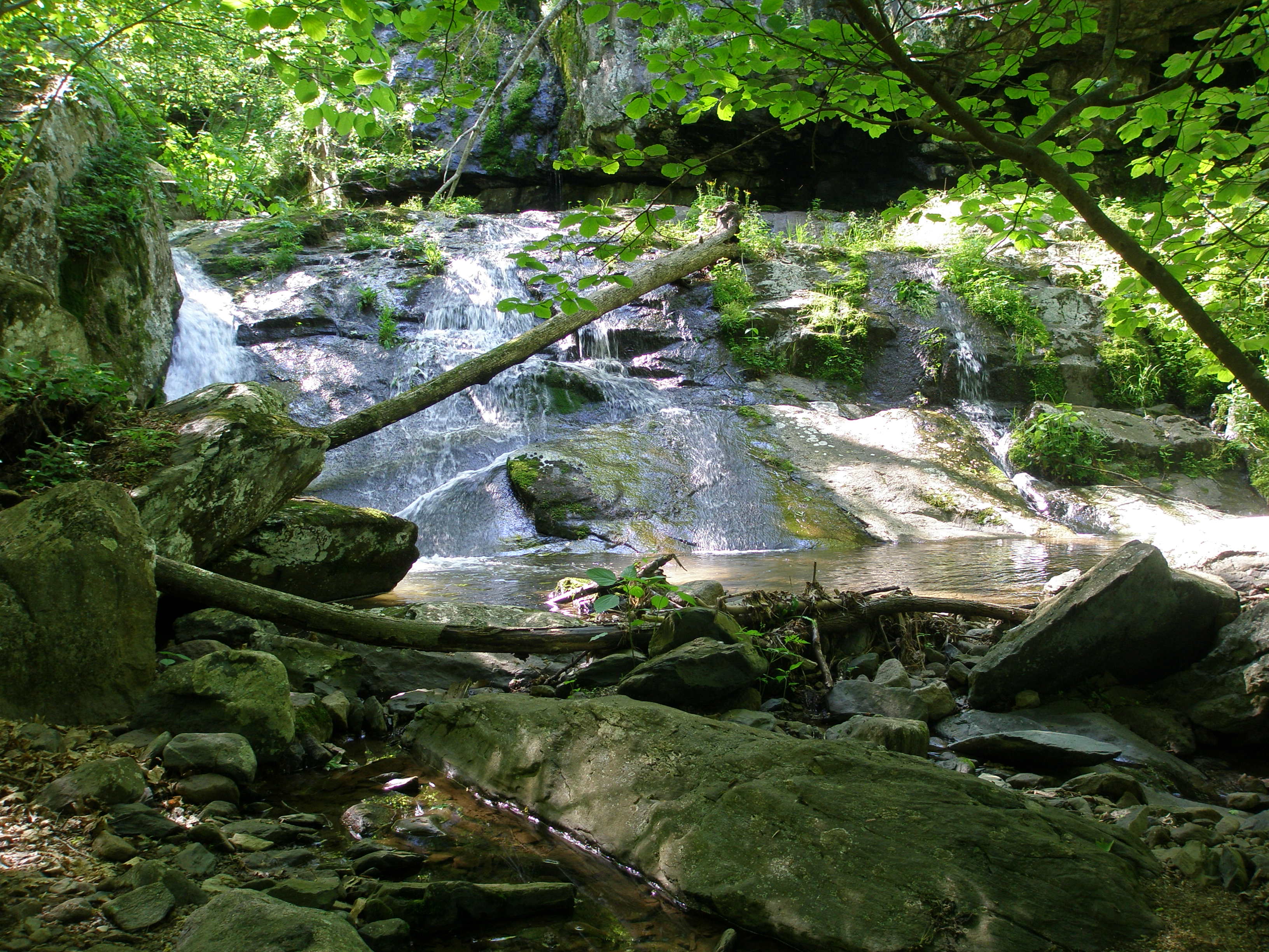 Shenandoah National Park