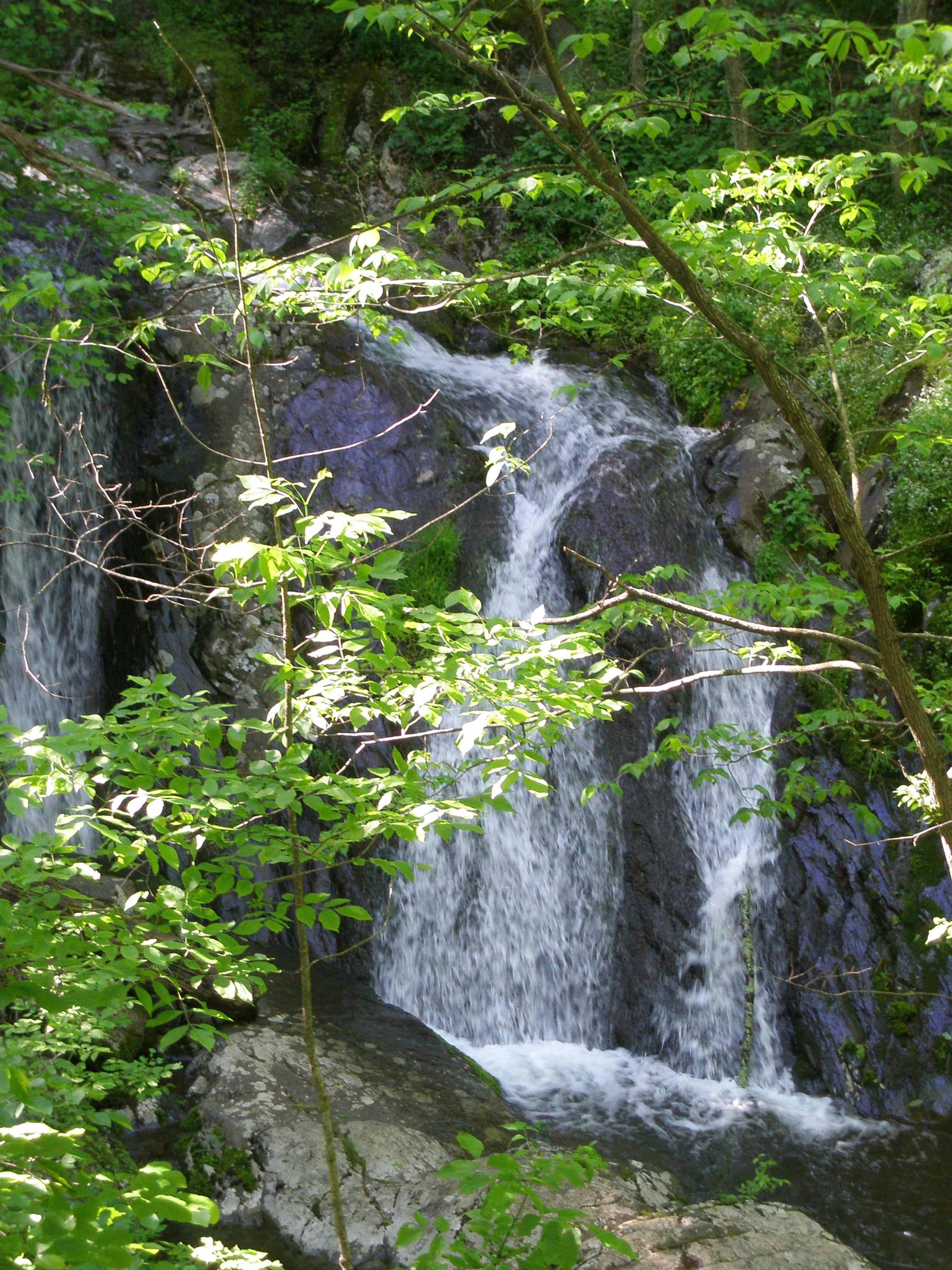 Shenandoah National Park