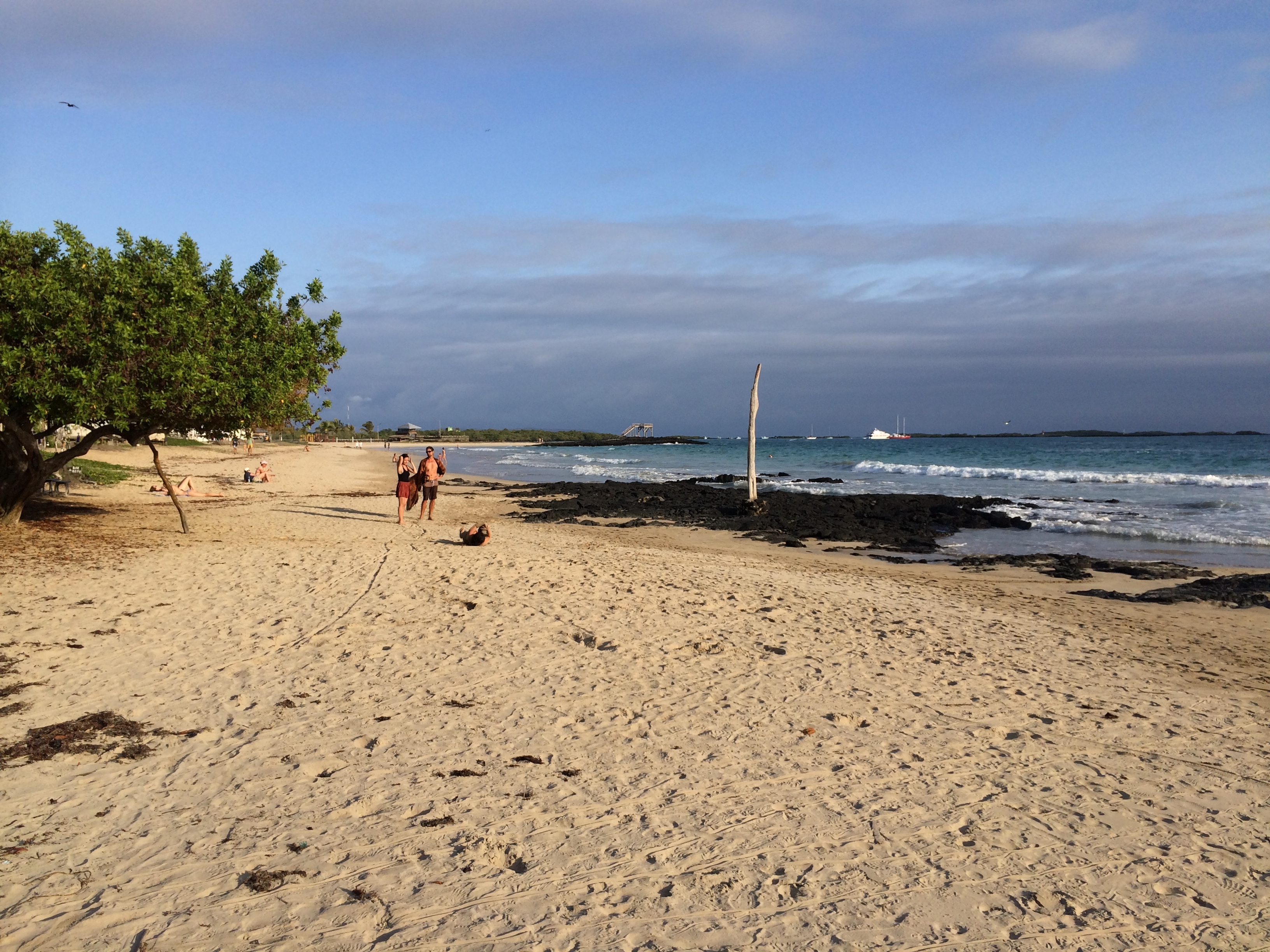 Galapagos