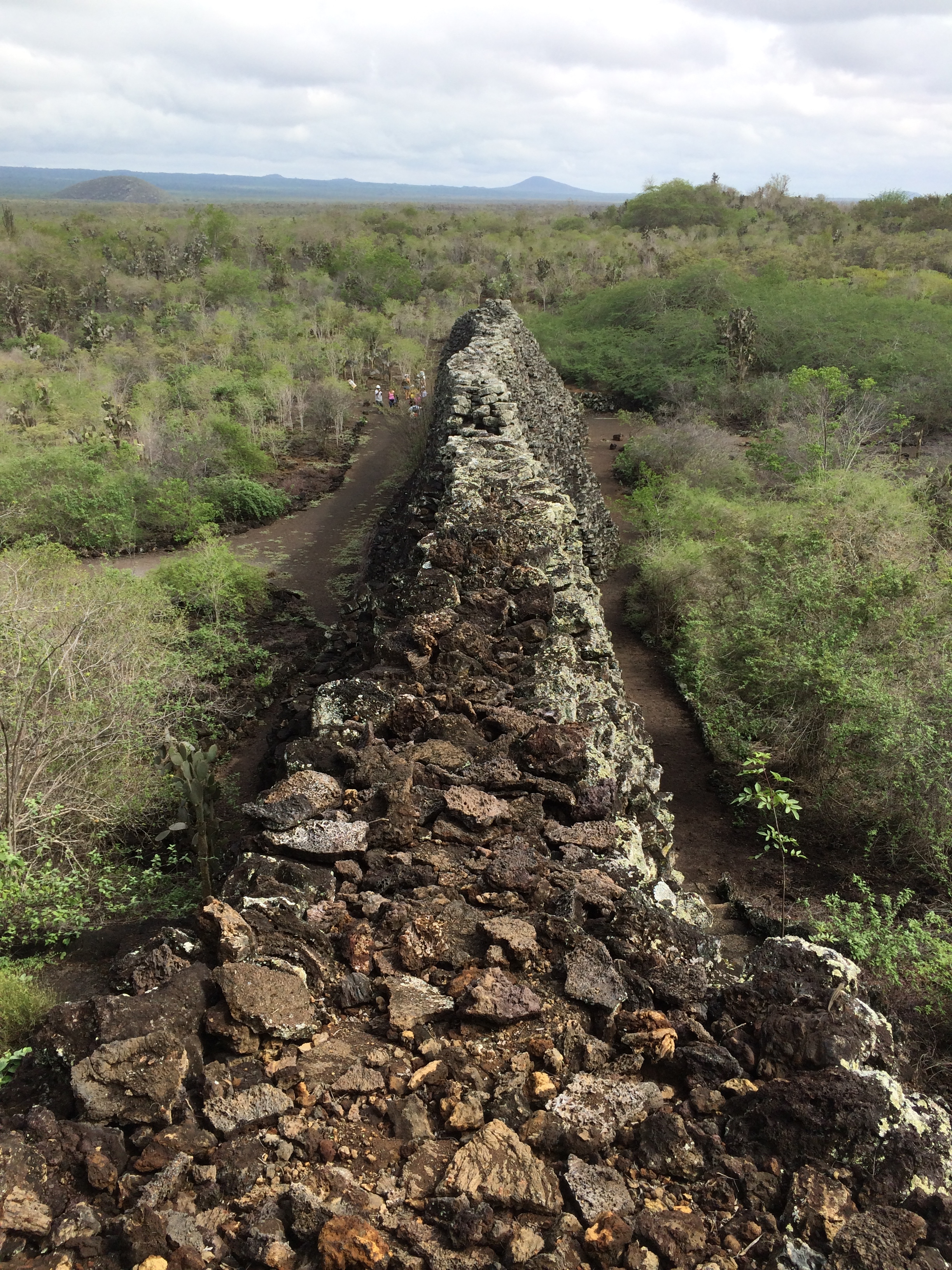 Galapagos