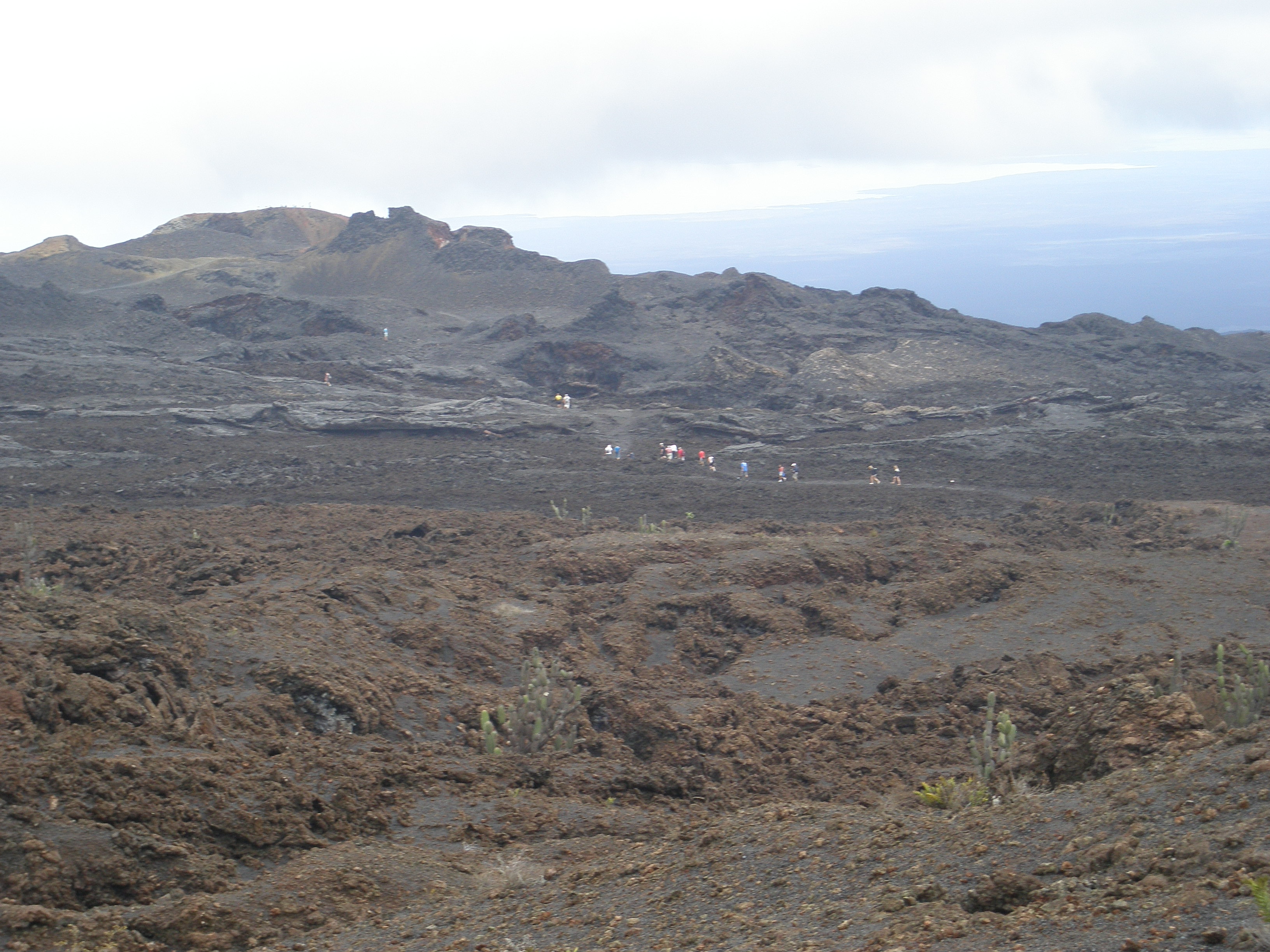 Galapagos