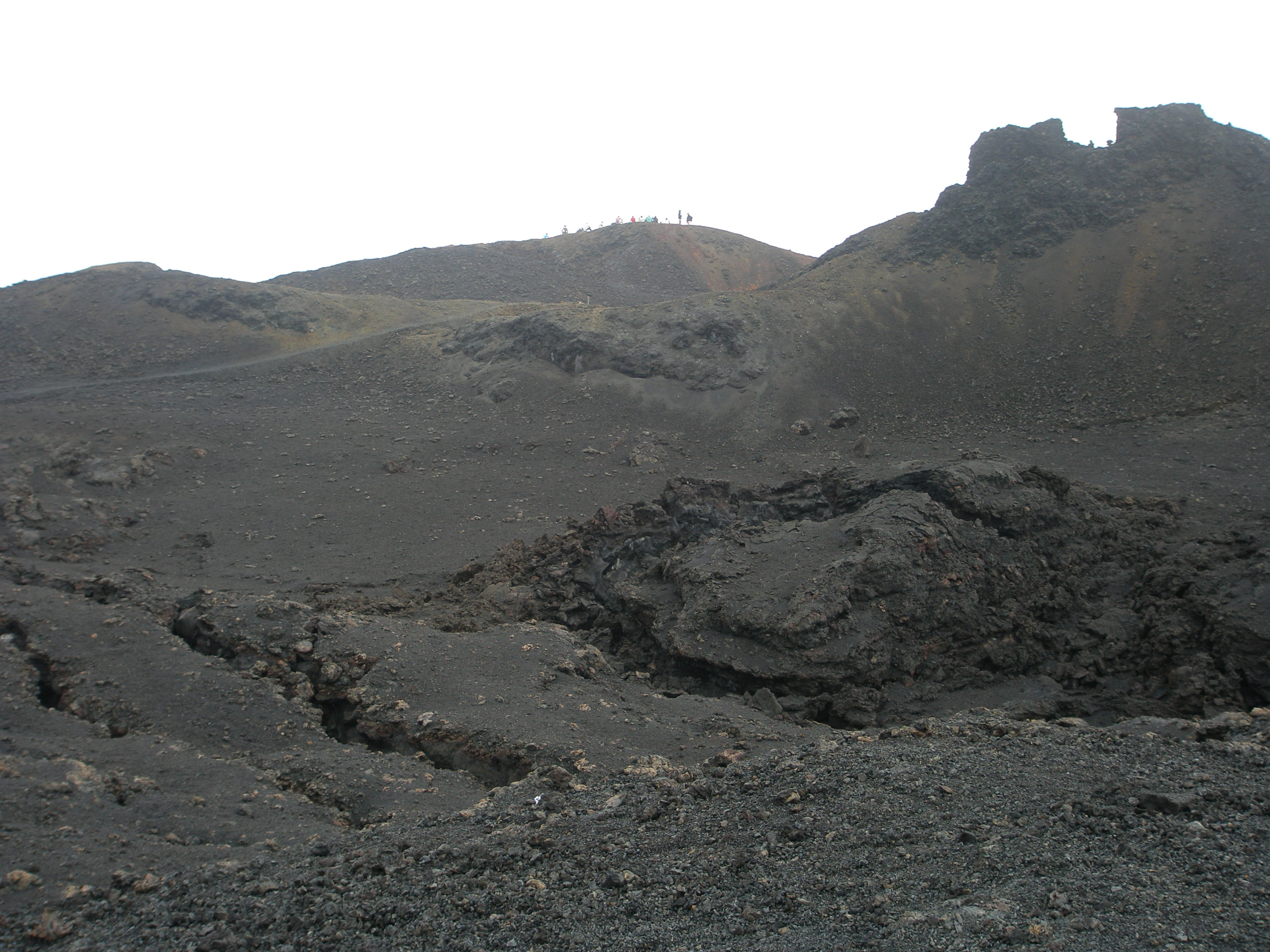 Galapagos