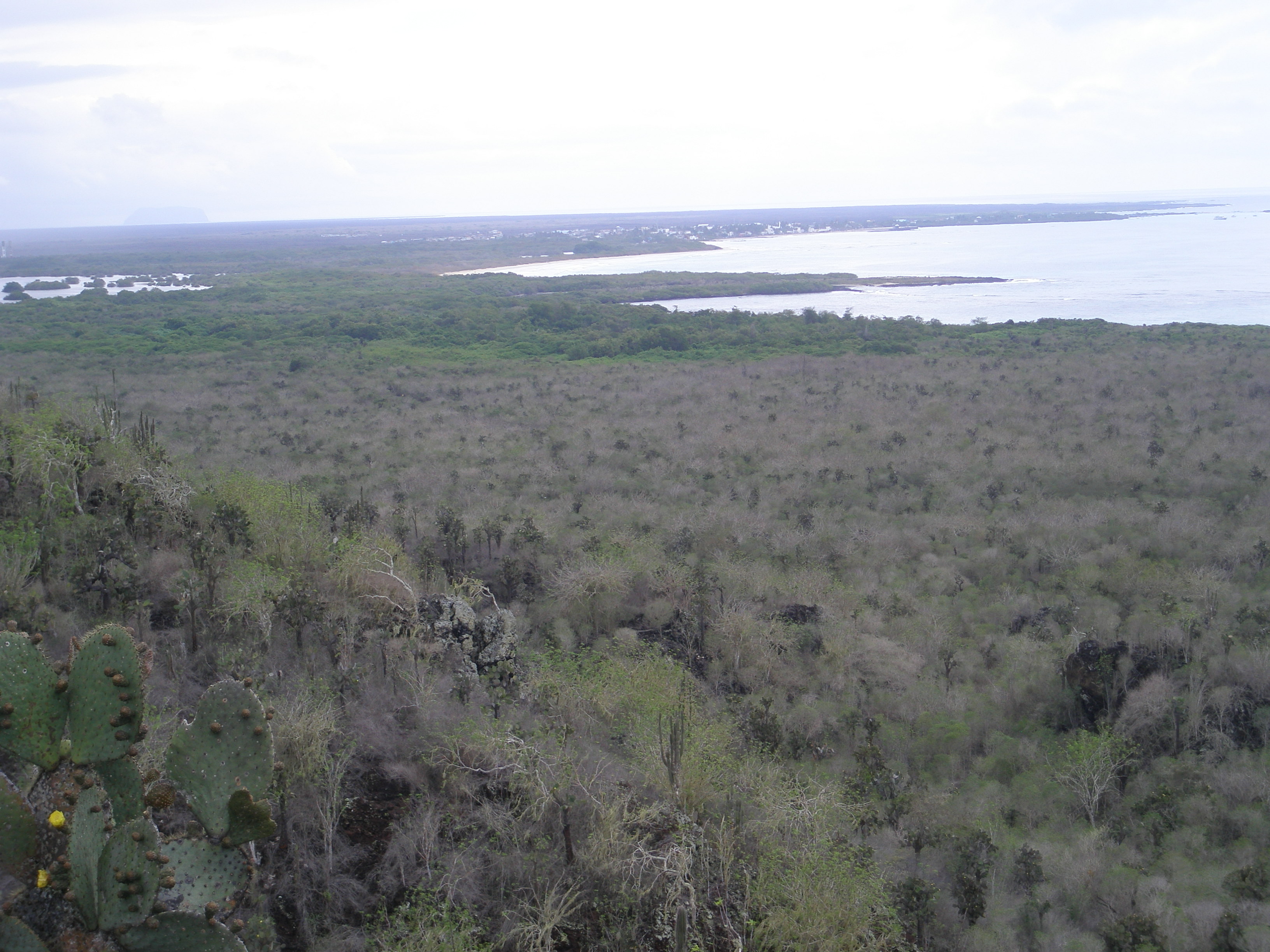 Galapagos