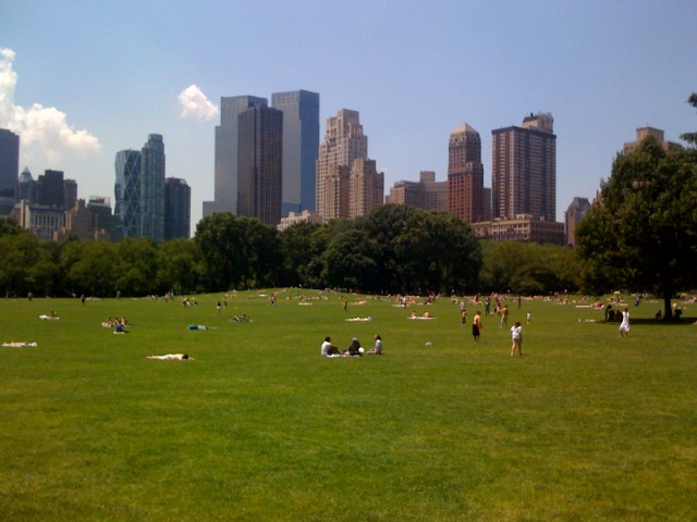 People, park, and city